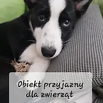 Отель 